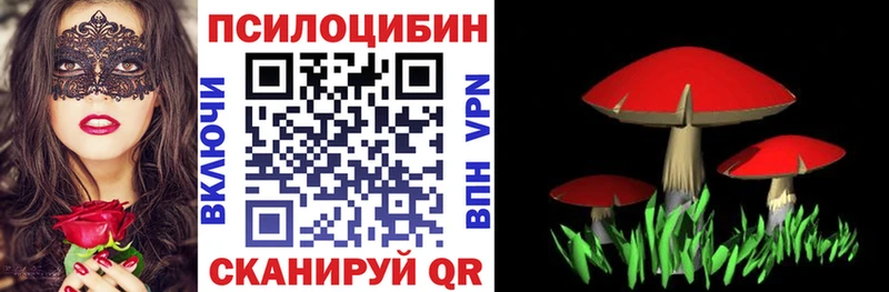 Псилоцибиновые грибы ЛСД  Элиста 